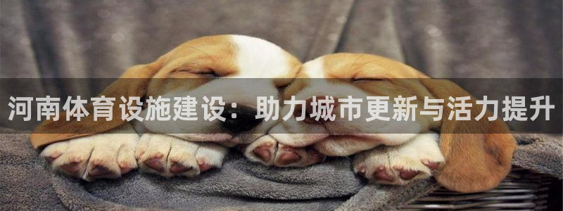意昂体育4平台注册流程图：河南体育设施建设：助力城市