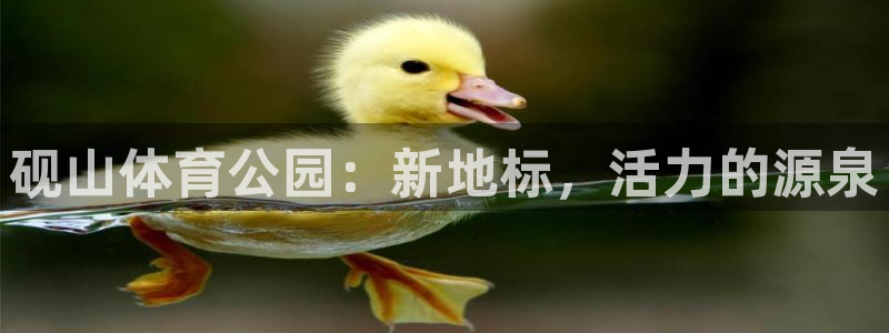 意昂体育4招商电话地址：砚山体育公园：新地标，活力的