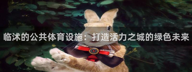 意昂4娱乐是那个系列的台子：临沭的公共体育设施：打造