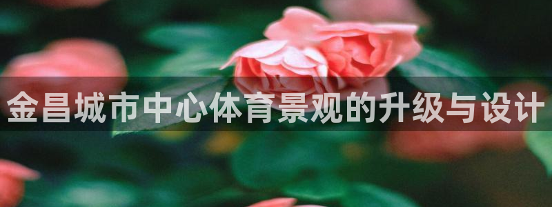 意昂体育4开户：金昌城市中心体育景观的升级与设计