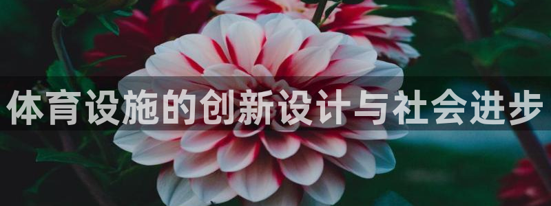 意昂集团官网：体育设施的创新设计与社会进步