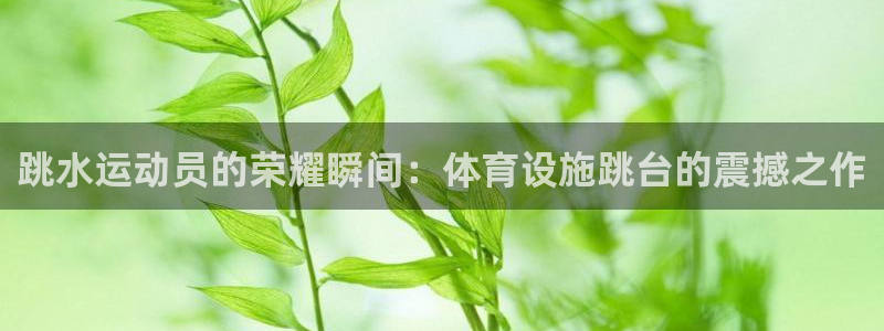 意昂4集团官网网址：跳水运动员的荣耀瞬间：体育设施跳