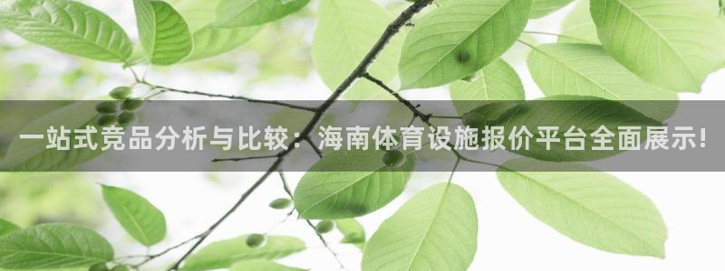 意昂4娱乐代理怎么样：一站式竞品分析与比较：海南体育