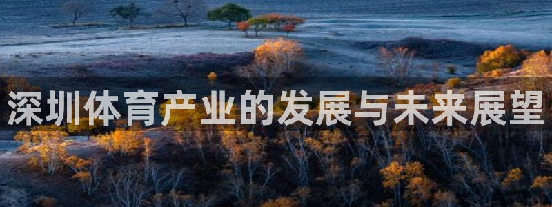意昂4娱乐下载：深圳体育产业的发展与未来展望
