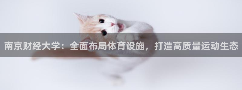 意昂体育4招商电话是多少号码：南京财经大学：全面布局