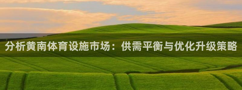 意昂体育4是干嘛的公司：分析黄南体育设施市场：供需平