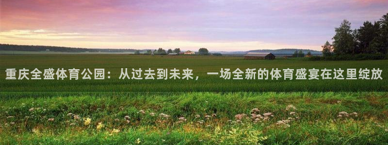 注册意昂4：重庆全盛体育公园：从过去到未来，一场全新