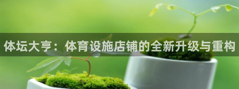 意昂体育4软件：体坛大亨：体育设施店铺的全新升级与重