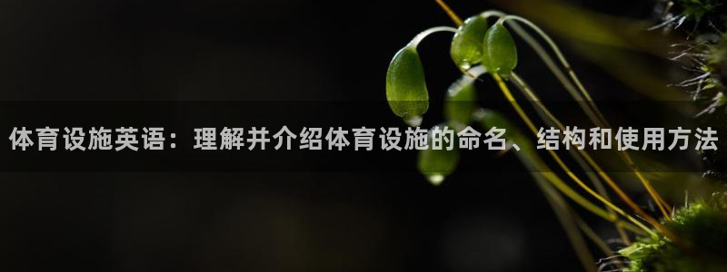 意昂4娱乐40996：体育设施英语：理解并介绍体育设