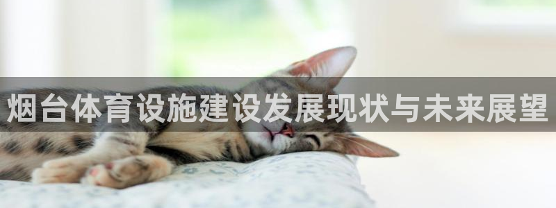 意昂体育4平台注册：烟台体育设施建设发展现状与未来展