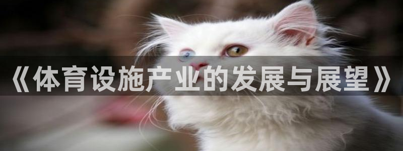 意昂体育4平台APP：《体育设施产业的发展与展望》