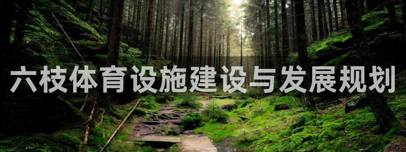 意昂体育4是干嘛的公司：六枝体育设施建设与发展规划