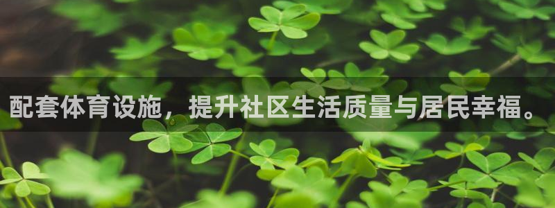 意昂4娱乐首页官网下载：配套体育设施，提升社区生活质