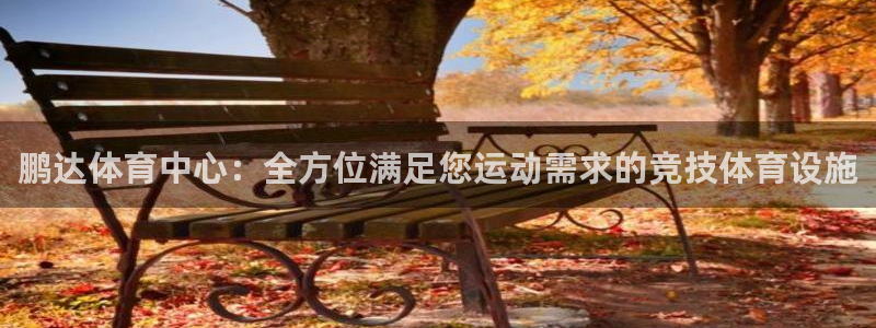 意昂体育4软件：鹏达体育中心：全方位满足您运动需求的