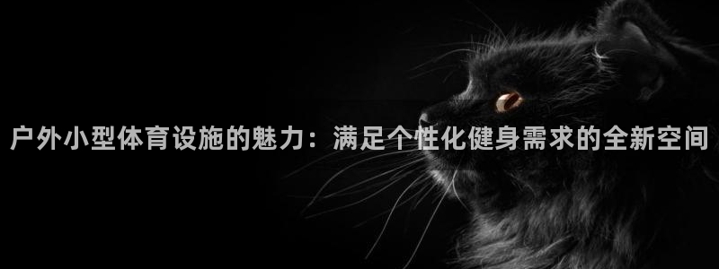 意昂体育4平台注册流程图：户外小型体育设施的魅力：满