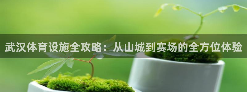 意昂体育4平台注册要钱吗是真的吗：武汉体育设施全攻略