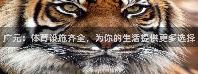 意昂4集团：广元：体育设施齐全，为你的生活提供更多选