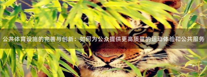 意昂体育4平台是正规平台吗知乎：公共体育设施的完善与创新：如