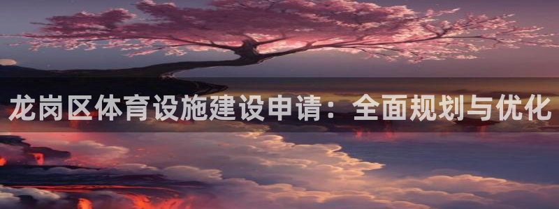 意昂体育4平台假的吗是真的吗：龙岗区体育设施建设申请：全面规