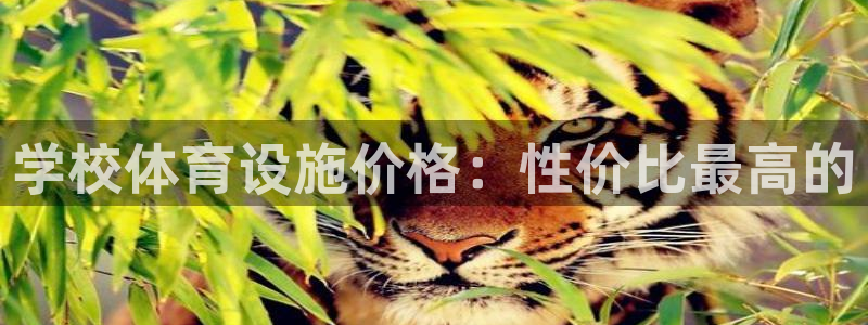 意昂4娱乐：学校体育设施价格：性价比最高的