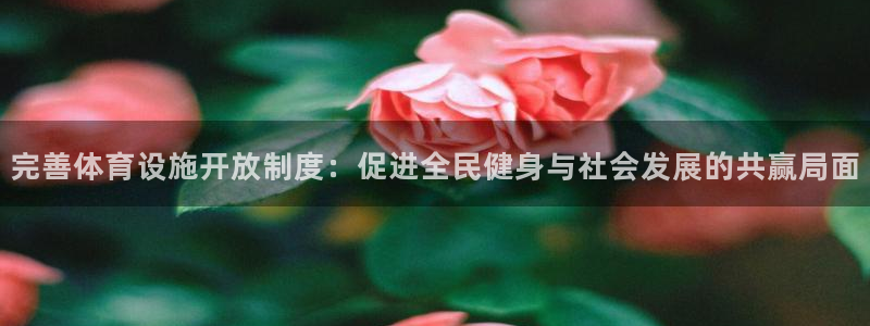 意昂4代理：完善体育设施开放制度：促进全民健身与社会发展的共