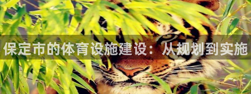 意昂体育4平台注册要钱吗安全吗：保定市的体育设施建设