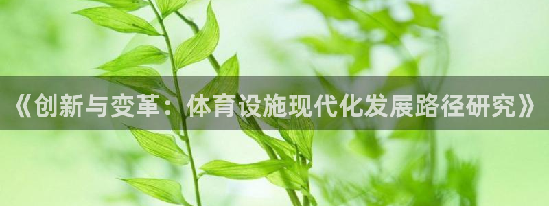 意昂4开户：《创新与变革：体育设施现代化发展路径研究