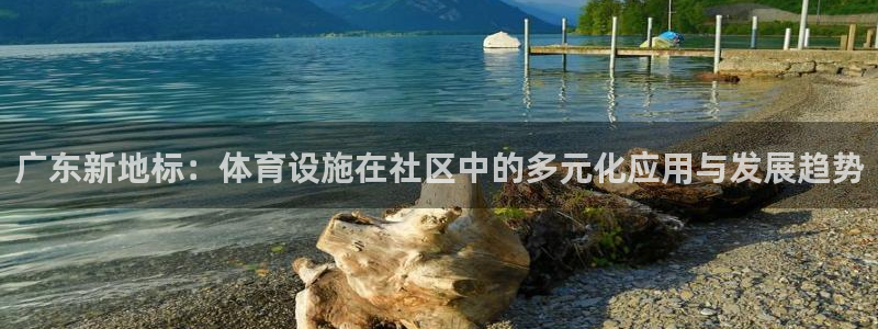 意昂4官方：广东新地标：体育设施在社区中的多元化应用