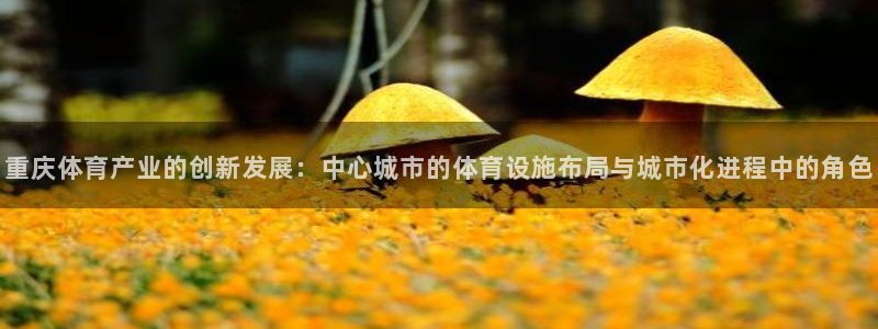 意昂体育4平台是正规平台吗：重庆体育产业的创新发展：