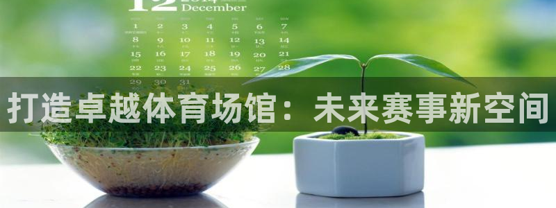 意昂4官网：打造卓越体育场馆：未来赛事新空间
