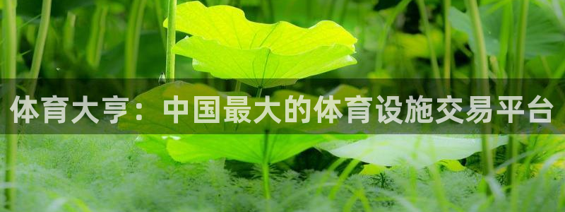 意昂4集团简介：体育大亨：中国最大的体育设施交易平台