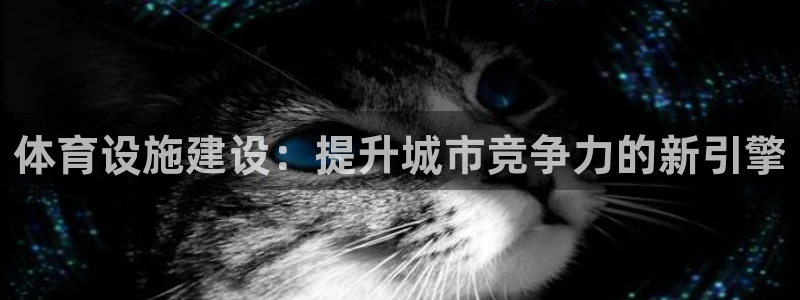 意昂4集团官网网址：体育设施建设：提升城市竞争力的新