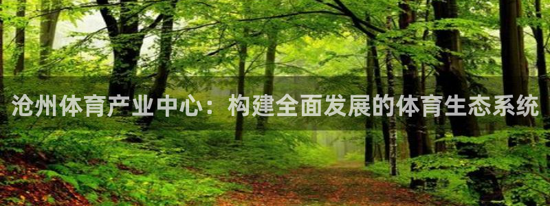 意昂集团官网：沧州体育产业中心：构建全面发展的体育生