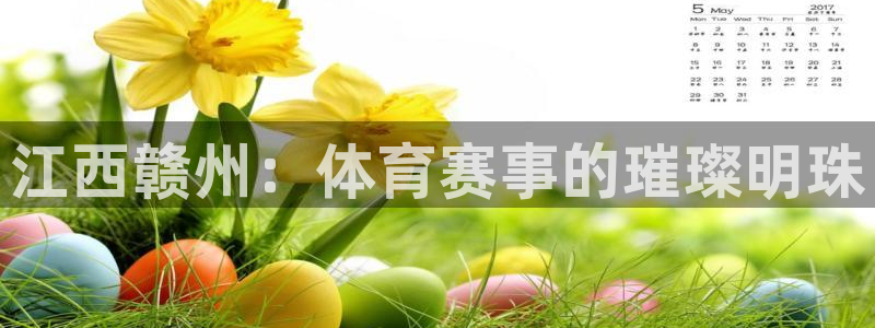意昂体育4平台：江西赣州：体育赛事的璀璨明珠