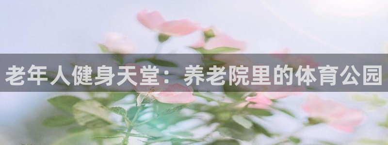 意昂平台体育：老年人健身天堂：养老院里的体育公园