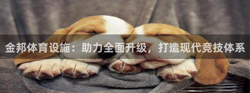 意昂4开户：金邦体育设施：助力全面升级，打造现代竞技体系