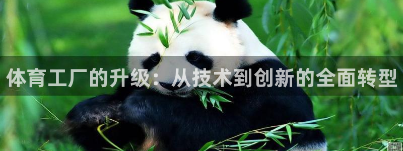 意昂体育4招商：体育工厂的升级：从技术到创新的全面转