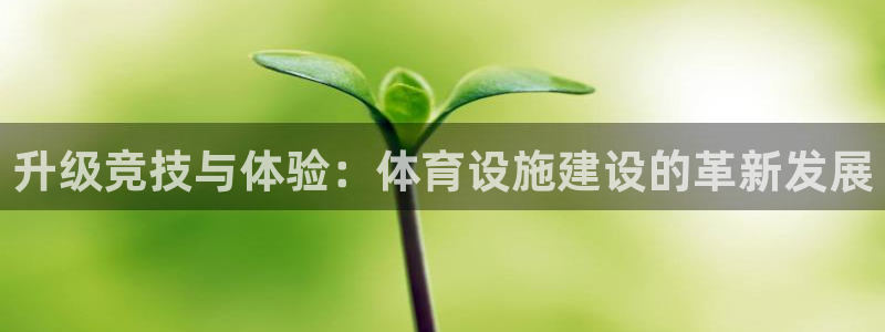 意昂体育4官方客服电话：升级竞技与体验：体育设施建设
