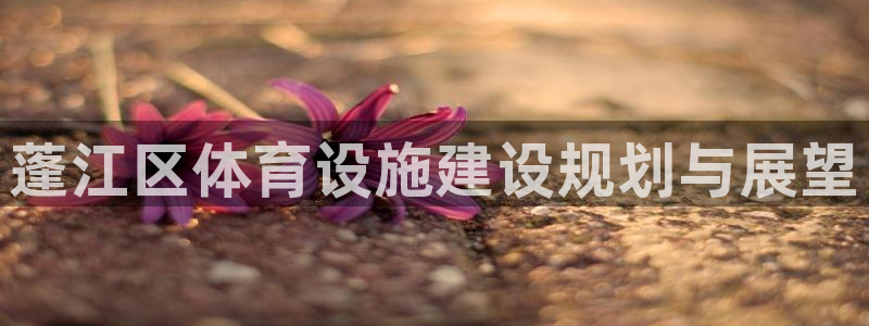 意昂4集团官网网址：蓬江区体育设施建设规划与展望