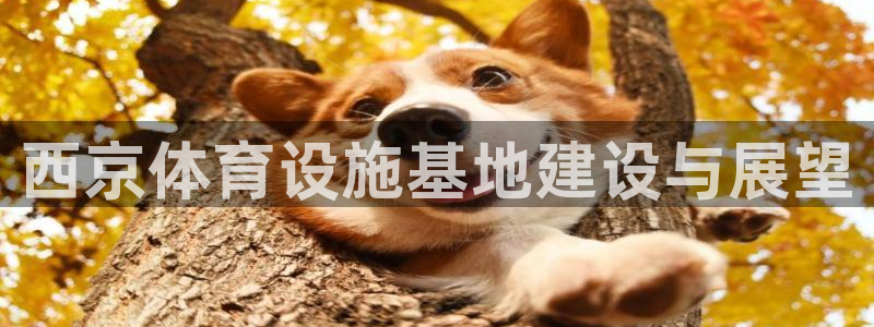 海南意昂体育4发展怎么样：西京体育设施基地建设与展望 