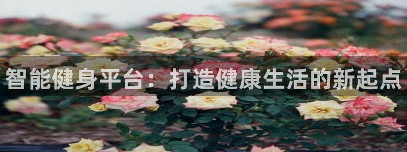 意昂体育4招商电话号码是多少：智能健身平台：打造健康生活的新 