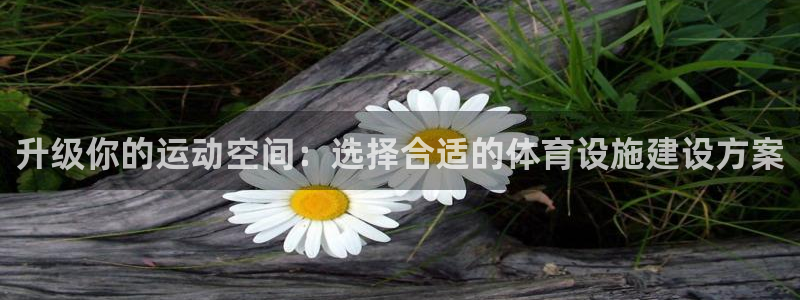 意昂体育4官方客服电话：升级你的运动空间：选择合适的