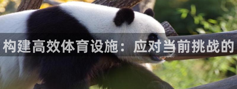 意昂体育4平台注册流程图：构建高效体育设施：应对当前