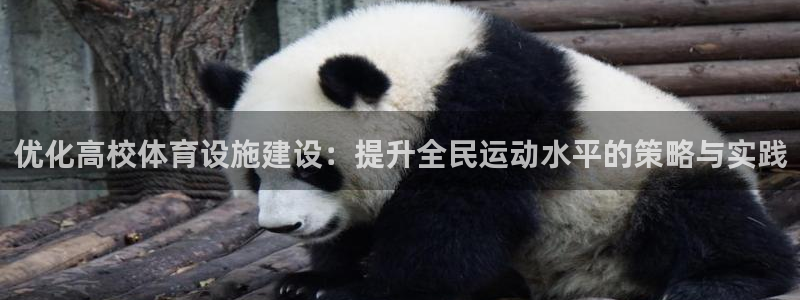 意昂体育4注册：优化高校体育设施建设：提升全民运动水
