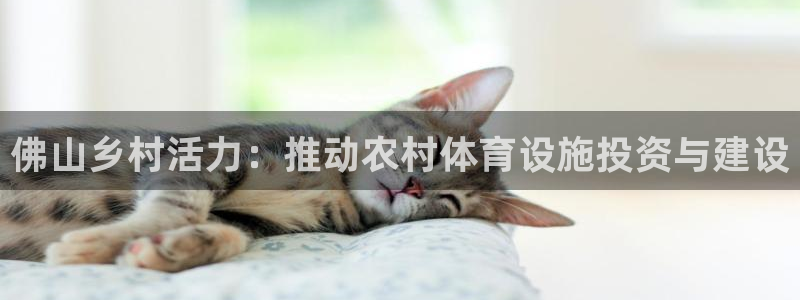意昂4集团：佛山乡村活力：推动农村体育设施投资与建设