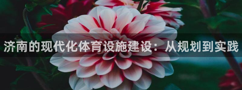 意昂4官方：济南的现代化体育设施建设：从规划到实践