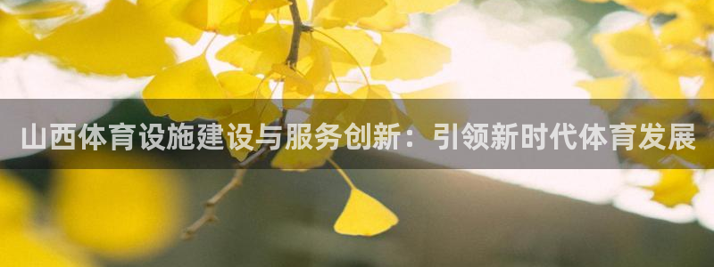 意昂4新能源：山西体育设施建设与服务创新：引领新时代