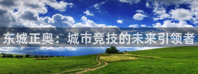 意昂体育4是干嘛的公司：东城正奥：城市竞技的未来引领