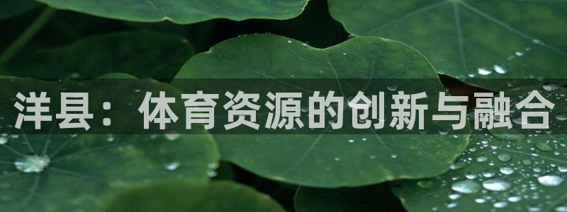 意昂4娱乐网站：洋县：体育资源的创新与融合