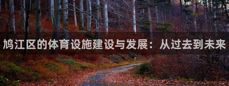 意昂4娱乐是那个系列的台子：鸠江区的体育设施建设与发